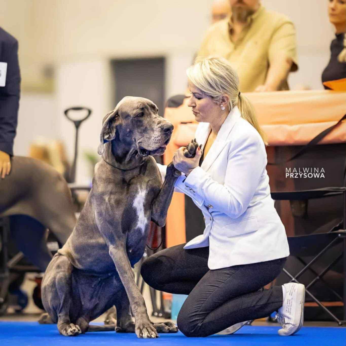 Ksenija Oseli Donati